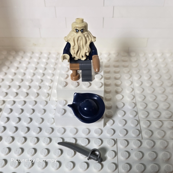 LEGO Davy Jones minifigure.
This character is from the Pirates of the Caribbean - Picture 5 of 5
